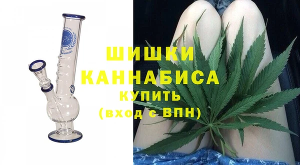 гашик Пестово