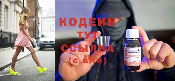 гашик Пестово