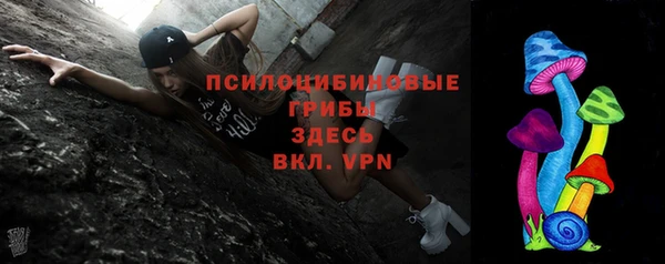 меф Пересвет