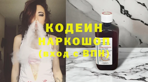 гашик Пестово