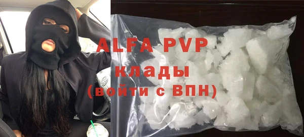 гашик Пестово