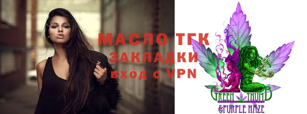 гашик Пестово