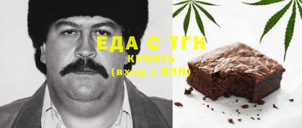 гашик Пестово
