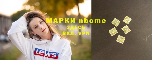 гашик Пестово
