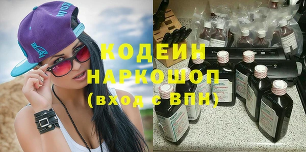гашик Пестово