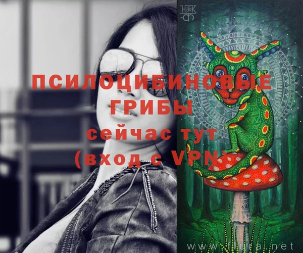 ПСИЛОЦИБИНОВЫЕ ГРИБЫ Губаха