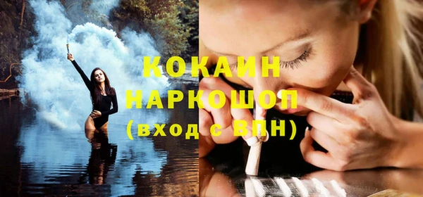 гашик Пестово